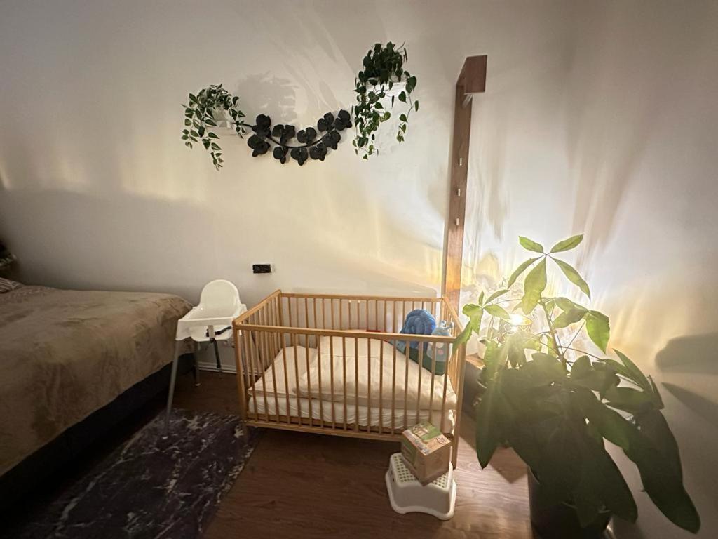 Ferienwohnung Marion Klagenfurt Zentrumsnaehe Klagenfurt am Woerthersee Exterior foto